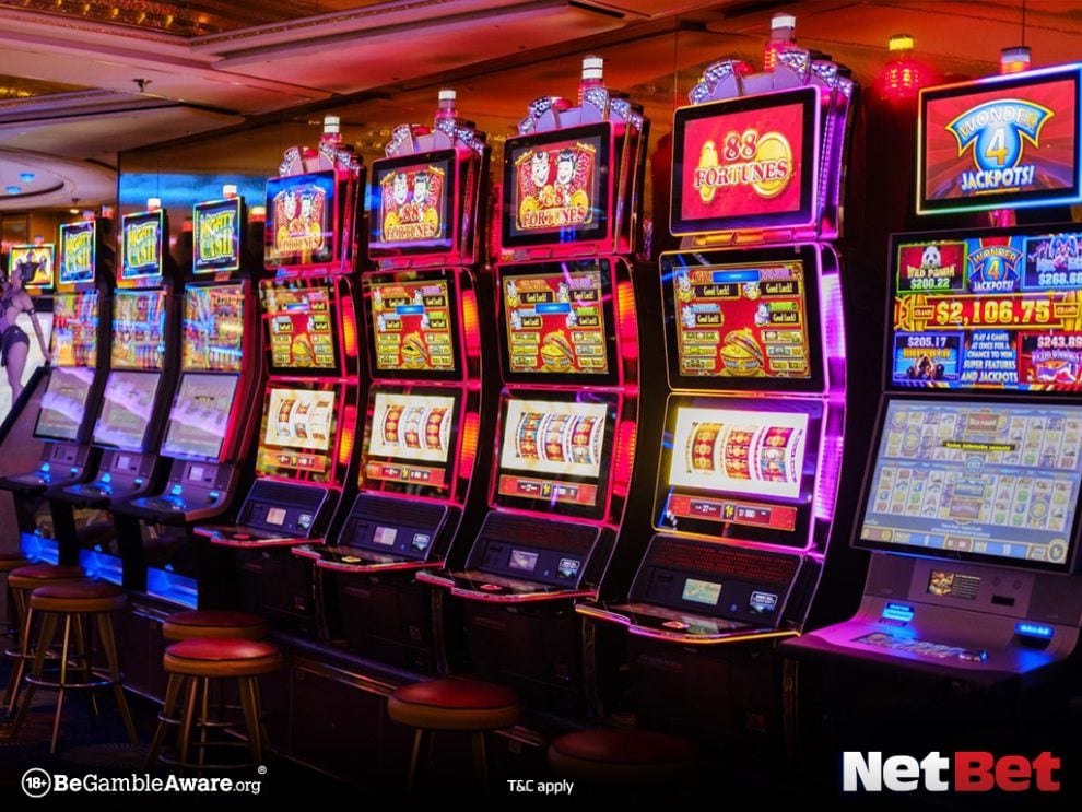 fun1911 - Login Oficial Bet